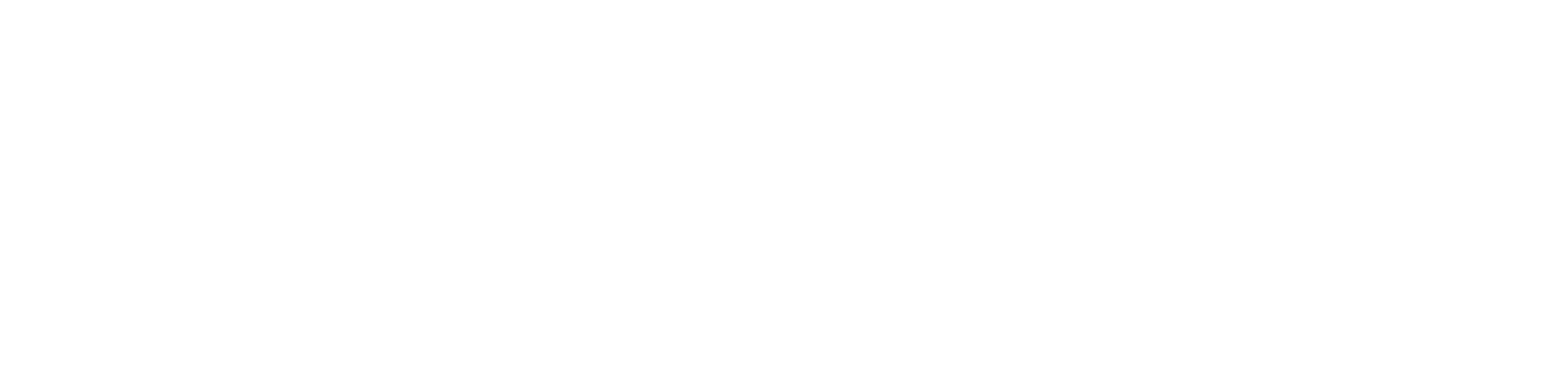 Solidarism